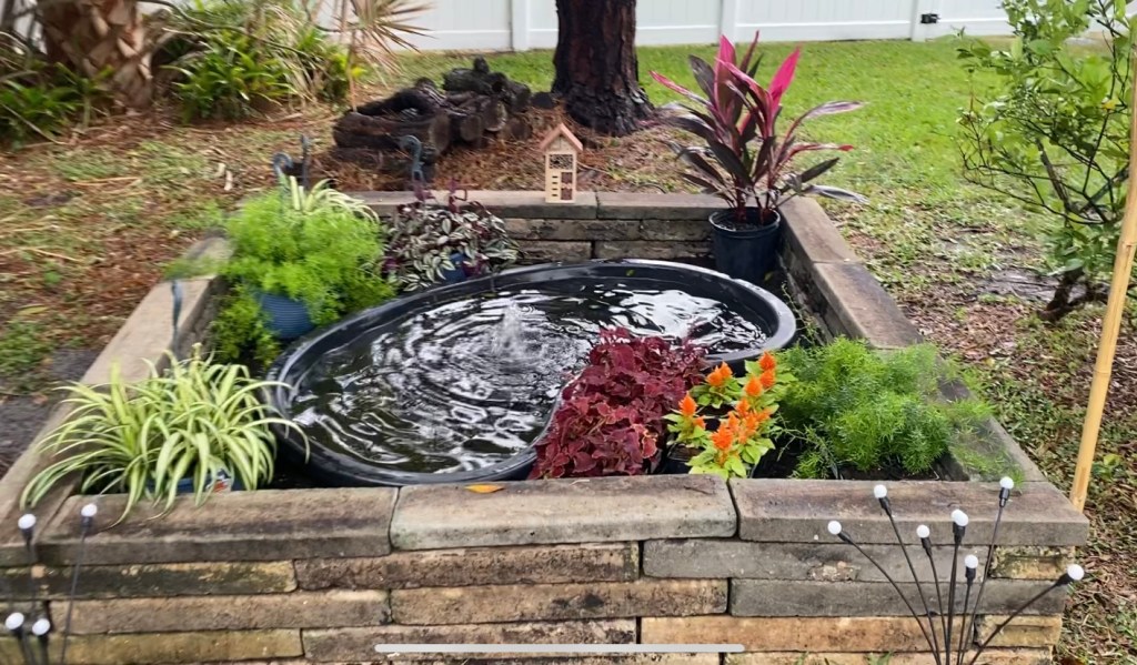 Pond Build